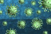 Abbildung Corona-Virus